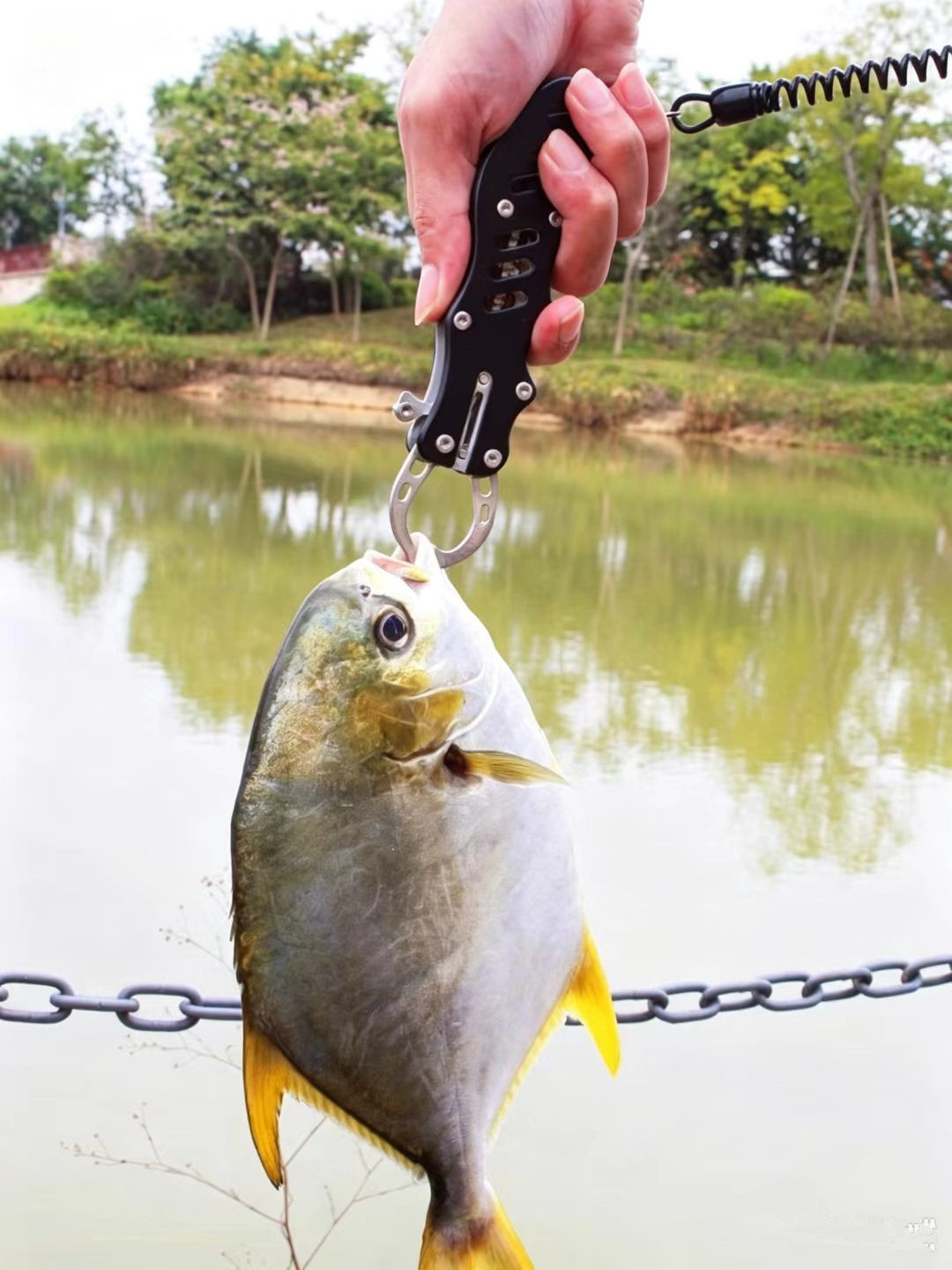 مقص متعدد الاستخدامات من الفول - مراجعة Baitcasting Reel وسعره